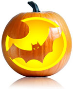 Vampire Bat