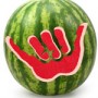 hangloose