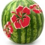 Summer Hibiscus Stencil