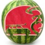 Summer Surf Car Stencil