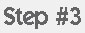 step3