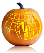 Spidermans Spider Web Pumpkin Stencil