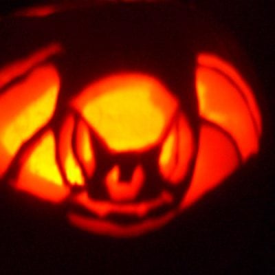 scary-bat-stencil